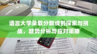 语言大学录取分数线的探索与挑战，趋势分析与应对策略研究
