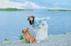 王泫梓妍与金毛湖畔的梦幻联动，甜蜜情缘与精灵之歌的浪漫旅程