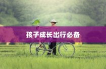 如何选择适合孩子出行的电动车，成长必备指南