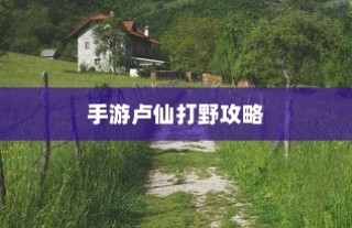 手游卢仙打野攻略，玩转野外战场技巧秘籍
