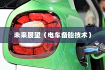 北方电车电池选择指南，探寻最佳电池类型，为你的电车保驾护航