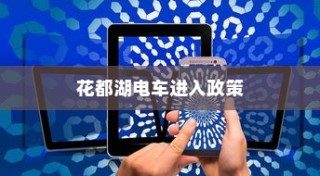 花都湖电车进入政策深度解析与探讨