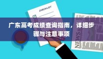 广东高考成绩查询指南，详细步骤及注意事项全解析