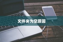 探究iPhone连接电脑后文件夹为空的原因