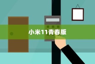 小米11青春版增加指纹识别功能的方法