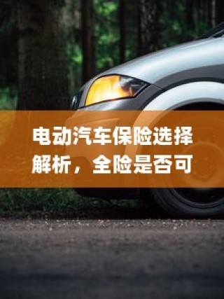 电动汽车保险选择解析，全险是否可行？电车保险考量与明智选择之道。