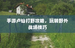 手游卢仙打野攻略，玩转野外战场技巧秘籍