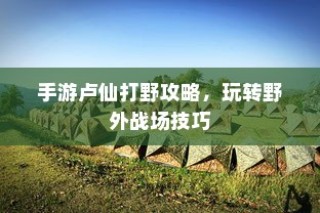 手游卢仙打野攻略，玩转野外战场技巧秘籍