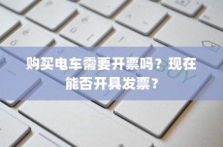 电动车在现代物流配送中的潜力与现状深度探讨