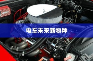 新能源电车电池质保深度解析与探讨，探究电池质保的细节与未来趋势
