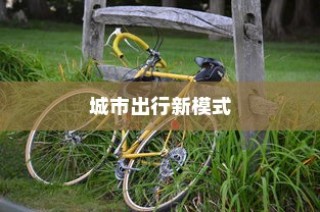 城市共享电车新出行模式，头盔配备，安全与便捷并重