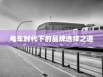 电车时代品牌选择攻略，明智决策你的出行之选