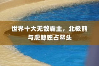 探究vivo的主要股权持有者