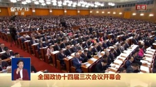 打印机的重要性，超越基础打印功能的日常应用