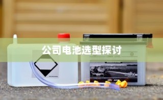 公司电车电池选型策略深度探讨