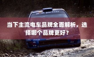 当下主流电车品牌深度解析，哪个品牌更值得选择？