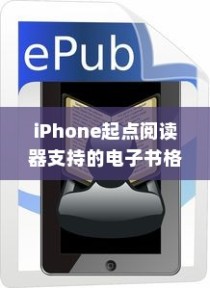 iPhone起点阅读器支持的电子书格式及阅读体验探讨