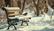 寒潮将携大范围雨雪来袭 陕西山西河南等地需防范强降雪