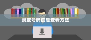 大学新生录取信息查询全攻略，如何轻松获取录取号码信息？