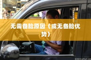 外贸猫结构深度解析，观察与洞察的未来视角