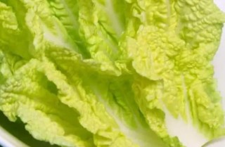 韩国白菜从山东引进 主要制作成泡菜