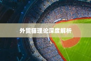 深度解析外贸猫理论，启示与远视结构探讨于外贸领域