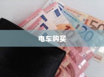 购买电车开票指南与发票问题解答
