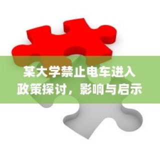 大学电车禁令政策探讨，影响及启示分析