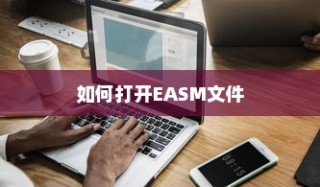 如何打开EASM文件