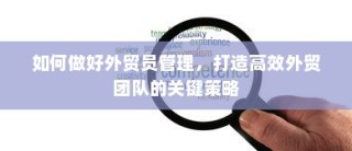 高效外贸团队建设的核心策略，外贸员管理与团队效能提升之道