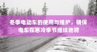 冬季电动车使用与维护指南，保障寒冷季节电车驰骋无阻