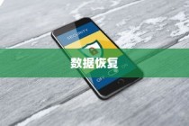 内存卡数据恢复至手机的简易指南