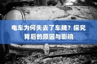 二十万左右纯电车选购攻略，全方位解读你的选择需求