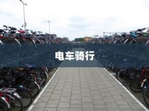 真皮电车坐垫套的通用性深度解析与探讨，通用性探讨及深度解析