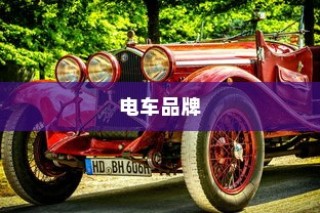 电车电瓶证书的重要性深度解析与探讨