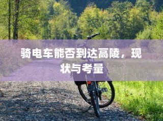 主流电动车品牌B牌子深度解析，选购指南带你了解哪家强！
