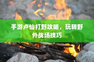 手游卢仙打野攻略，玩转野外战场技巧秘籍