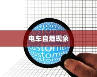 电车自燃现象深度探究，品牌分析与启示