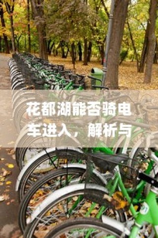 花都湖电车进入政策解析与探讨