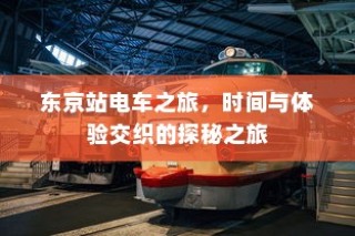 东京站电车探秘之旅，时间与体验交织的旅程