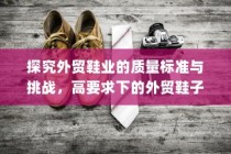 高要求下的外贸鞋业质量标准挑战与品质解析探究