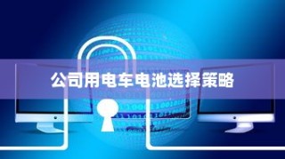 公司电车电池选型策略