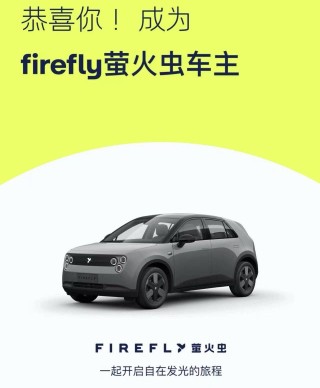 购买萤火虫的七大要点详解，选购指南与注意事项