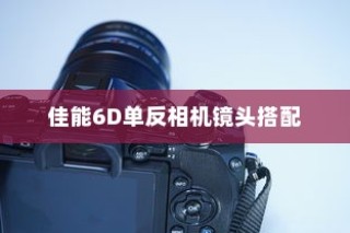 佳能6D单反相机镜头搭配详解，与佳能6D2的对比解析