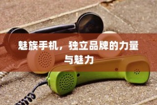 魅族手机，独立品牌的力量与魅力