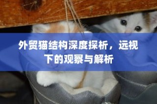 电车的物流配送能力，现状分析与未来展望