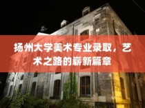扬州大学美术专业录取，艺术之路的新篇章