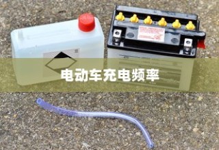 电动车充电频率与电池寿命探究，隔天充电是否可行？