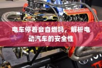 解析电动汽车的安全性，停车状态下是否会自燃？