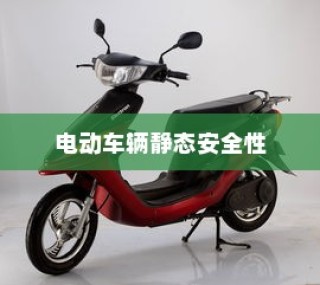 纯电车起火车型深度剖析